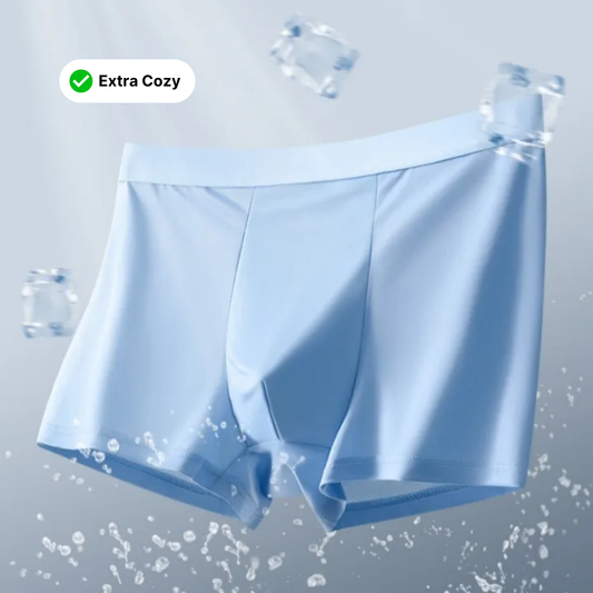 Men's Ice Silk Briefs Boxers - Combo of 3